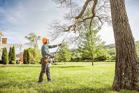 Best Storm Damage Tree Cleanup  in Chesterfield, IN